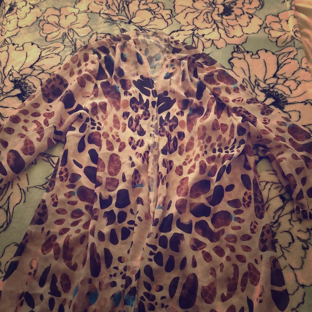 Cheetah beach cover